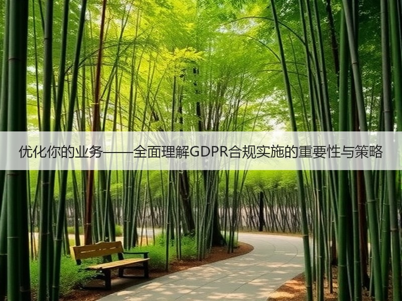 优化你的业务——全面理解GDPR合规实施的重要性与策略