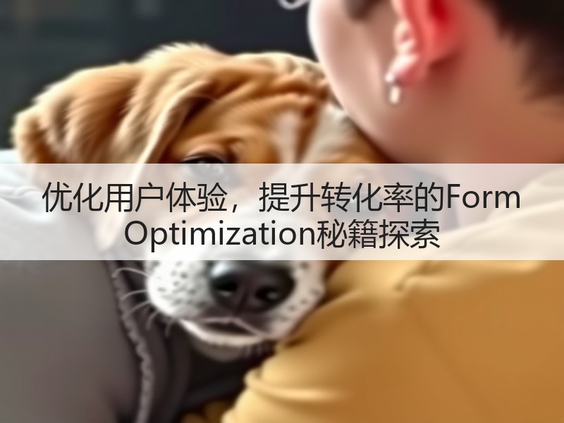 优化用户体验，提升转化率的Form Optimization秘籍探索(图2)