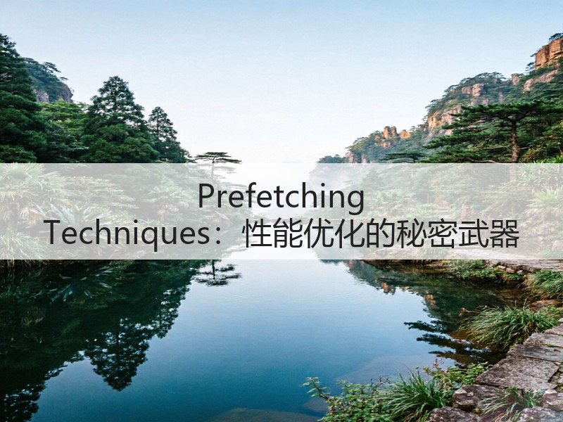 Prefetching Techniques：性能优化的秘密武器(图3)