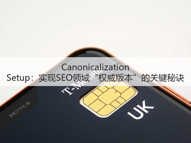 Canonicalization Setup：实现SEO领域“权威版本”的关键秘诀(图3)