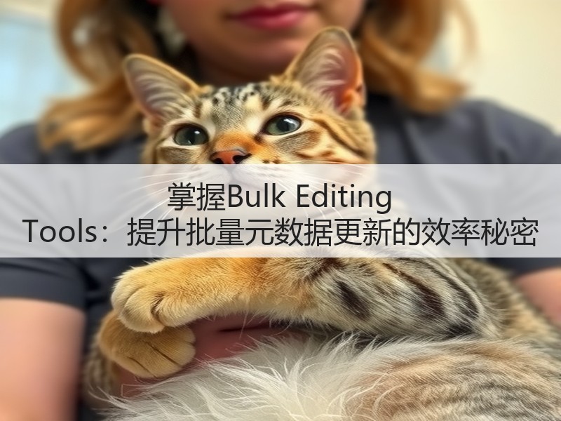 掌握Bulk Editing Tools：提升批量元数据更新的效率秘密(图1)