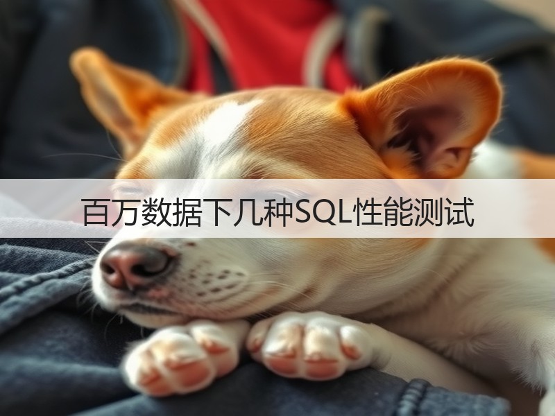 百万数据下几种SQL性能测试(图1)