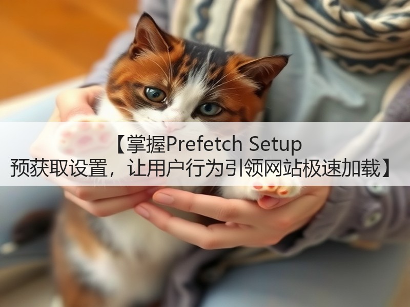 【掌握Prefetch Setup 预获取设置,让用户行为引领网站极速加载】(图3) 【掌握Prefetch Setup 预获取设置,让用户行为引领网站极速加载】(图3)