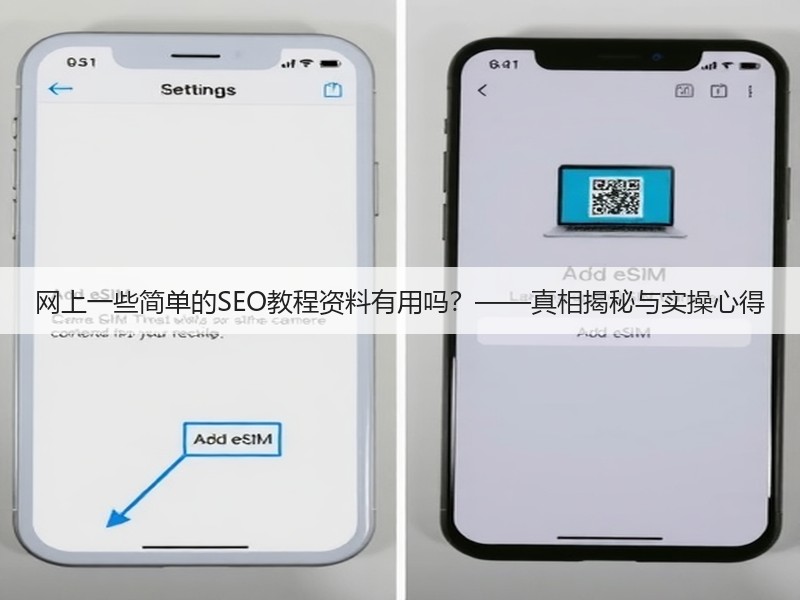 网上一些简单的SEO教程资料有用吗？——真相揭秘与实操心得(图3)