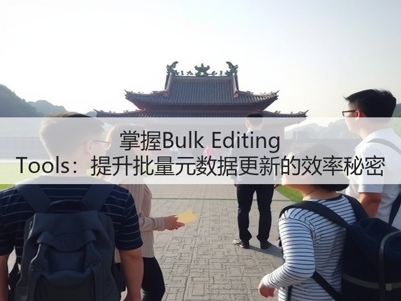 掌握Bulk Editing Tools：提升批量元数据更新的效率秘密(图3)