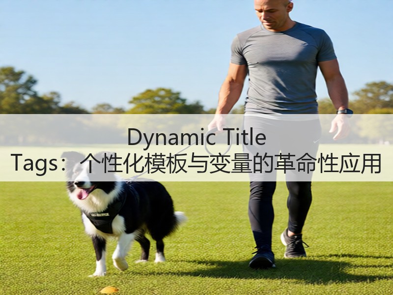 Dynamic Title Tags:个性化模板与变量的革命性应用(图3) Dynamic Title Tags:个性化模板与变量的革命性应用(图3)