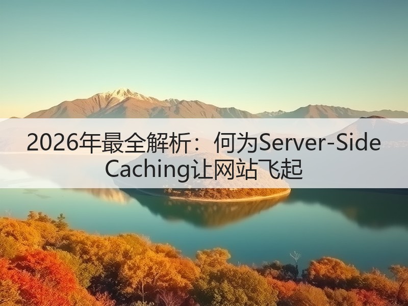 2026年最全解析：何为Server-Side Caching让网站飞起(图3)