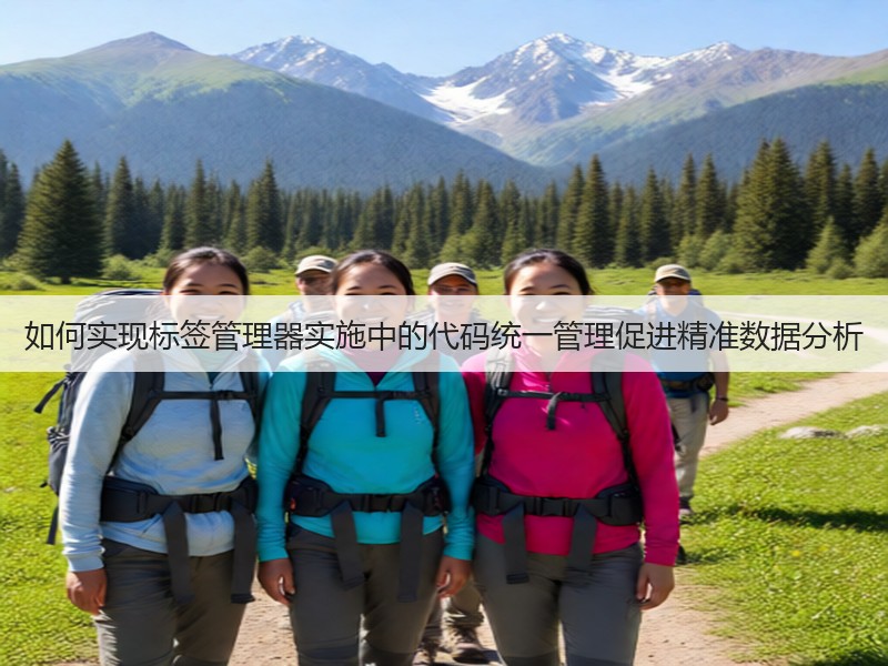 如何实现标签管理器实施中的代码统一管理促进精准数据分析(图3)