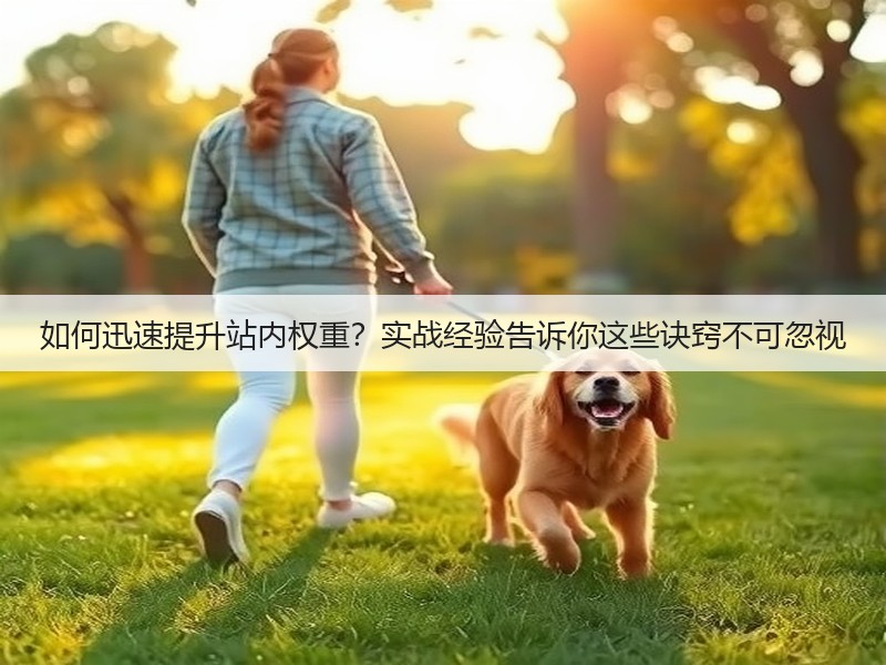 如何迅速提升站内权重？实战经验告诉你这些诀窍不可忽视(图3)
