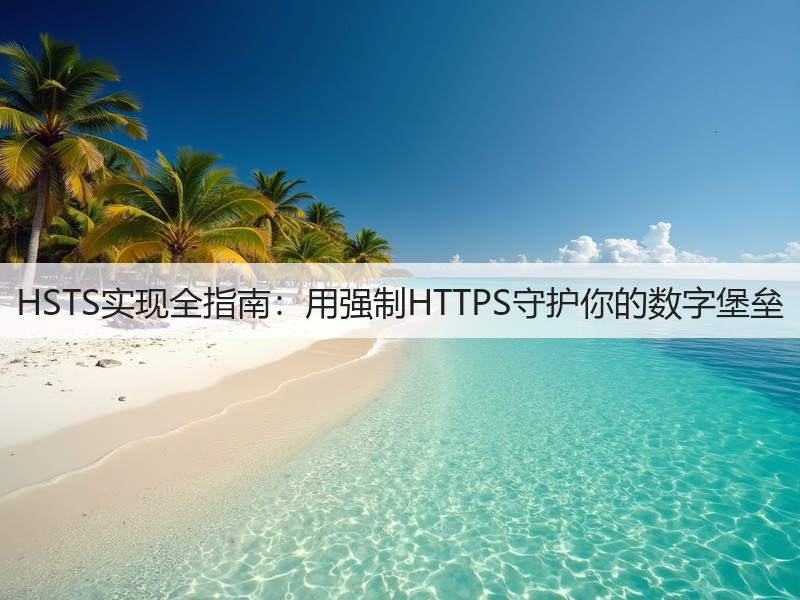 HSTS实现全指南：用强制HTTPS守护你的数字堡垒(图2)