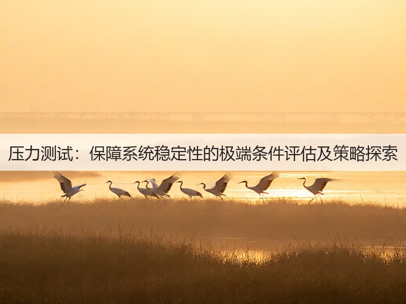 压力测试:保障系统稳定性的极端条件评估及策略探索(图2) 压力测试:保障系统稳定性的极端条件评估及策略探索(图2)
