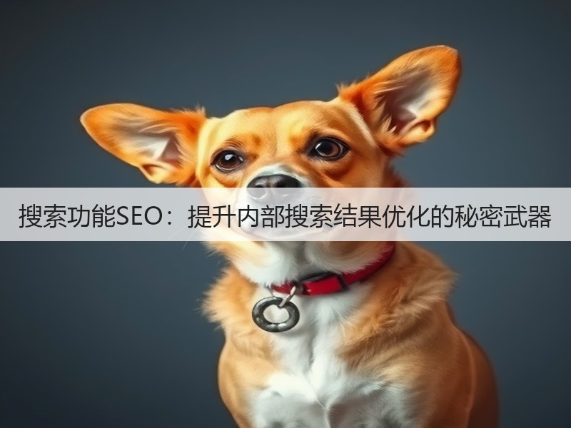 搜索功能SEO：提升内部搜索结果优化的秘密武器(图3)