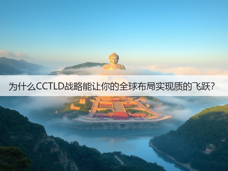 为什么CCTLD战略能让你的全球布局实现质的飞跃？(图3)