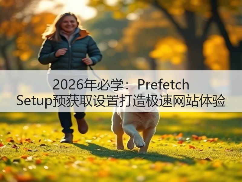 2026年必学:Prefetch Setup预获取设置打造极速网站体验(图2) 2026年必学:Prefetch Setup预获取设置打造极速网站体验(图2)