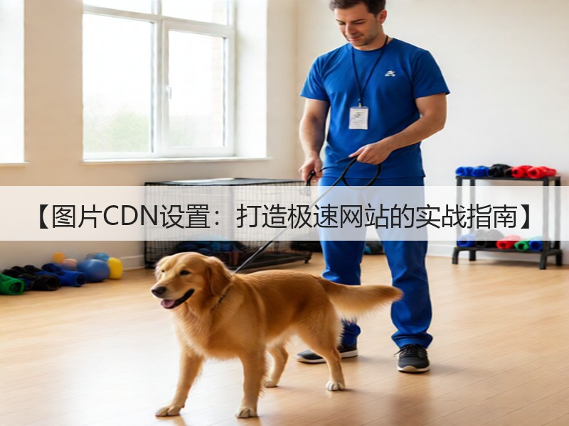 【图片CDN设置：打造极速网站的实战指南】(图3)