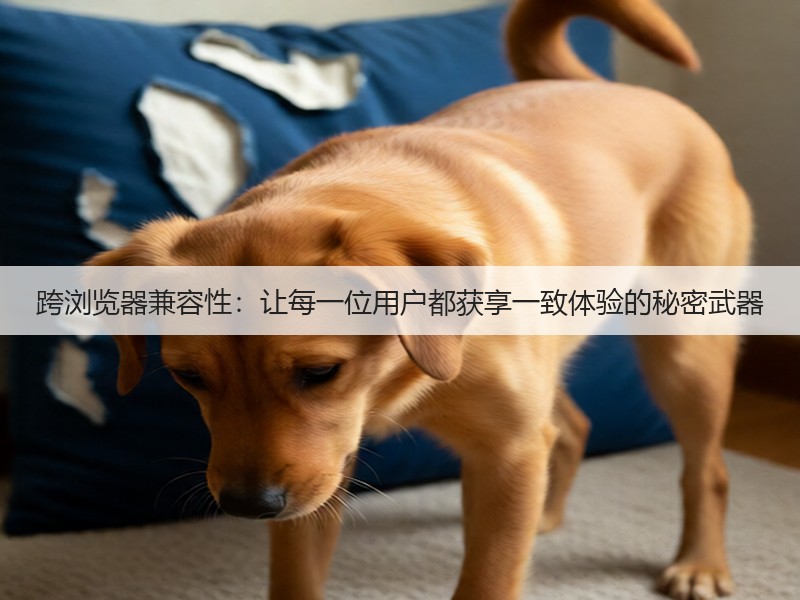 跨浏览器兼容性:让每一位用户都获享一致体验的秘密武器(图2) 跨浏览器兼容性:让每一位用户都获享一致体验的秘密武器(图2)