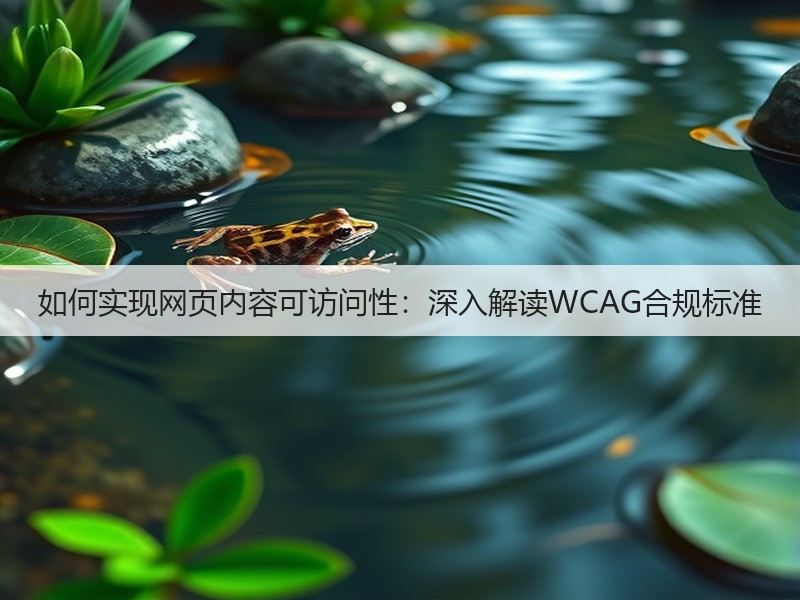 如何实现网页内容可访问性:深入解读WCAG合规标准(图2) 如何实现网页内容可访问性:深入解读WCAG合规标准(图2)