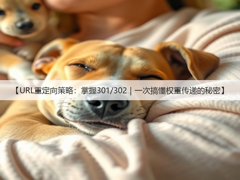 【URL重定向策略：掌握301/302｜一次搞懂权重传递的秘密】(图3)