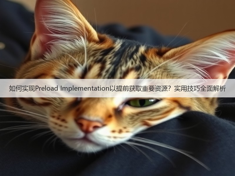 如何实现Preload Implementation以提前获取重要资源？实用技巧全面解析(图2)