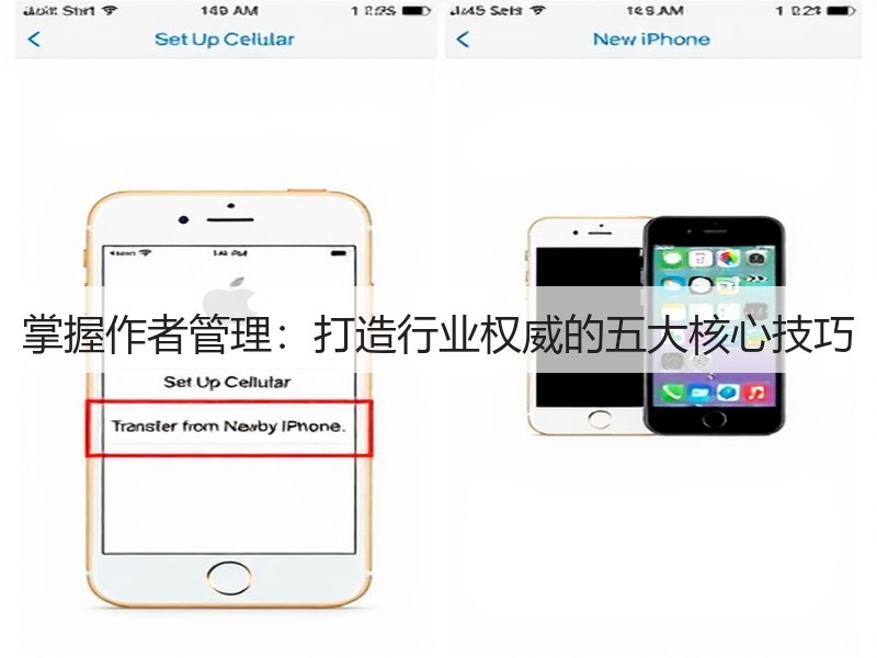 掌握作者管理：打造行业权威的五大核心技巧(图3)