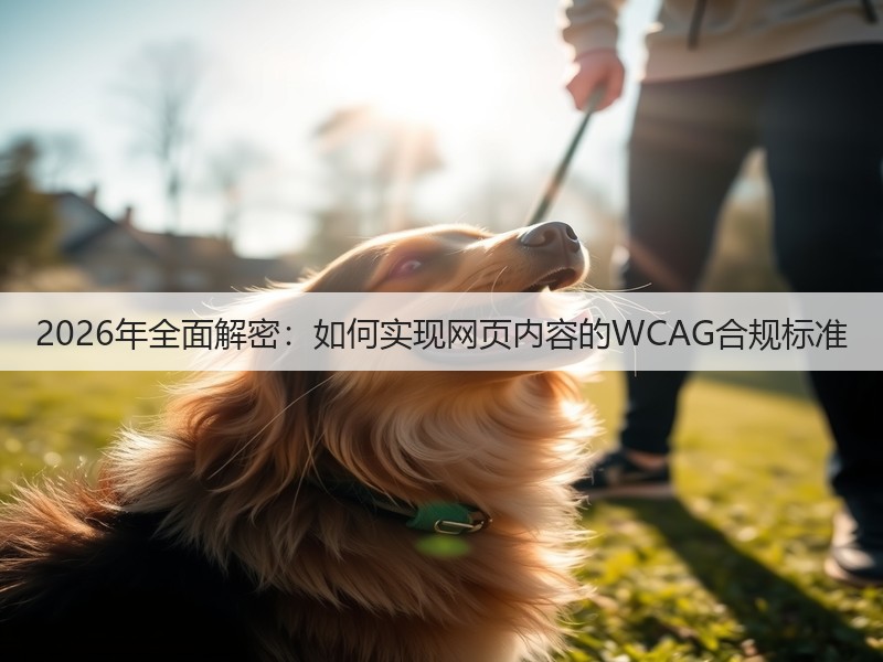 2026年全面解密：如何实现网页内容的WCAG合规标准(图1)