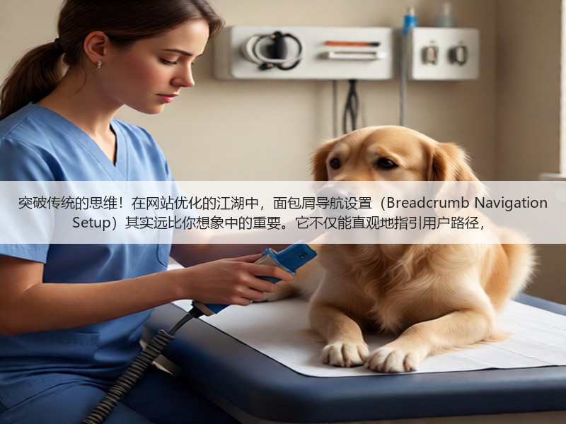 突破传统的思维！在网站优化的江湖中，面包屑导航设置（Breadcrumb Navigation Setup）其实远比你想象中的重要。它不仅能直观地指引用户路径，(图1)