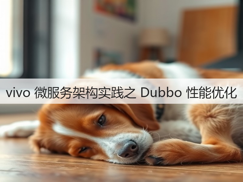 vivo 微服务架构实践之 Dubbo 性能优化(图2)