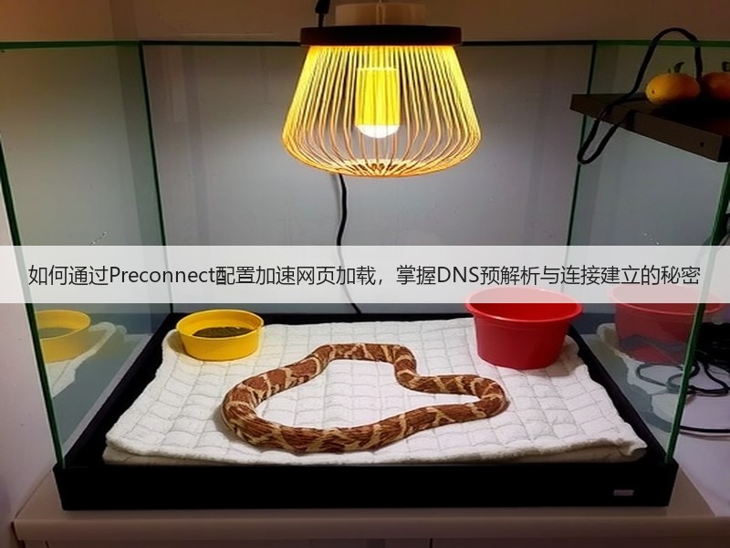 如何通过Preconnect配置加速网页加载，掌握DNS预解析与连接建立的秘密(图2)