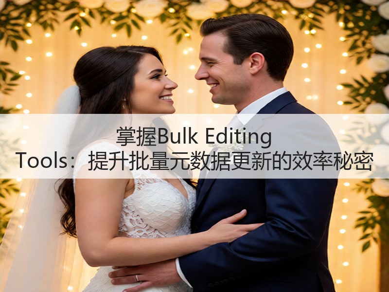 掌握Bulk Editing Tools：提升批量元数据更新的效率秘密(图2)