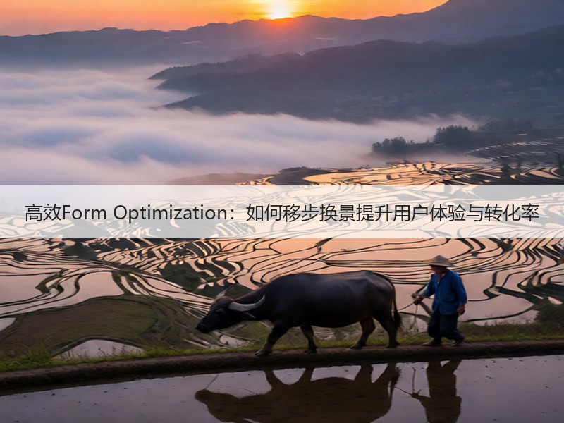 高效Form Optimization：如何移步换景提升用户体验与转化率