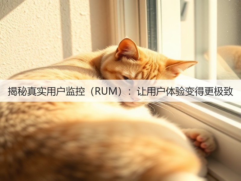 揭秘真实用户监控(RUM):让用户体验变得更极致(图3) 揭秘真实用户监控(RUM):让用户体验变得更极致(图3)