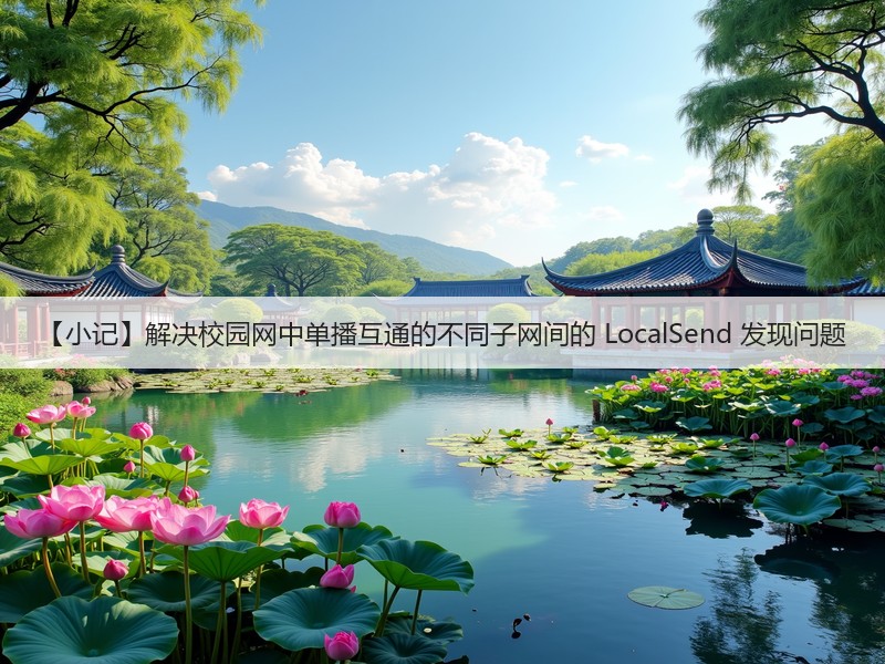 【小记】解决校园网中单播互通的不同子网间的 LocalSend 发现问题(图3)