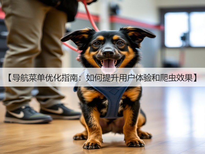 【导航菜单优化指南：如何提升用户体验和爬虫效果】(图2)