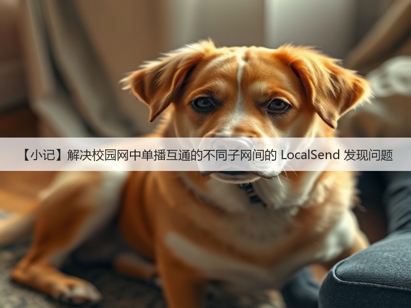 【小记】解决校园网中单播互通的不同子网间的 LocalSend 发现问题(图1) 【小记】解决校园网中单播互通的不同子网间的 LocalSend 发现问题(图1)