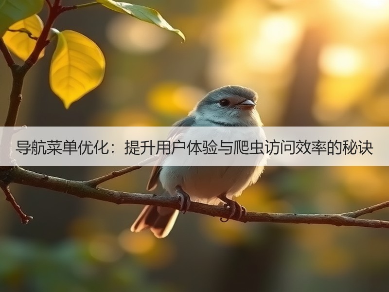 导航菜单优化：提升用户体验与爬虫访问效率的秘诀