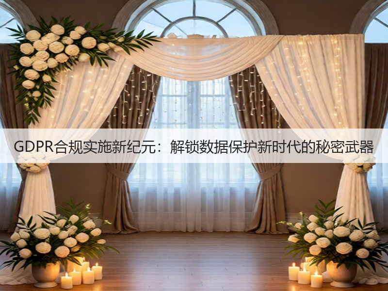 GDPR合规实施新纪元：解锁数据保护新时代的秘密武器(图2)